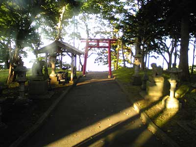 氏神様の神社からの眺め