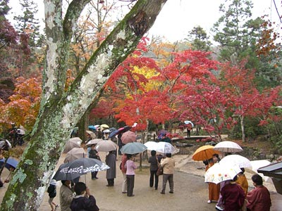 厳島神社の裏庭